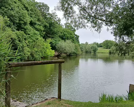 009 L’étang des Roussières a été aménagé en 1970 pour réguler les eaux pluviales