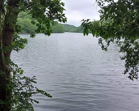 016 L’étang du Val d’Or