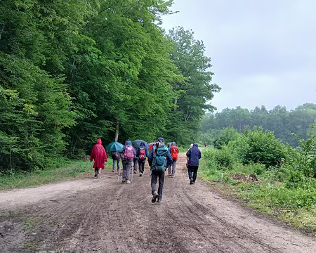 018 La route forestière de la Porte de la Minière