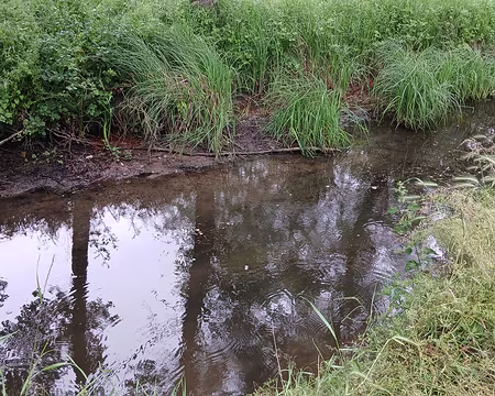 023 La Bièvre, longue de 36 km, est un affluent de la Seine en rive gauche
