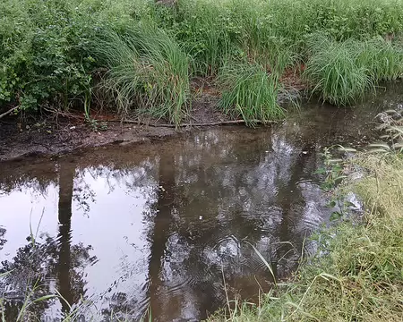 023 La Bièvre, longue de 36 km, est un affluent de la Seine en rive gauche