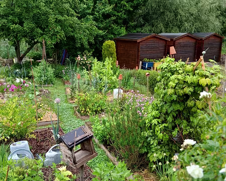 026 Jardin communal « le Castor » à Buc