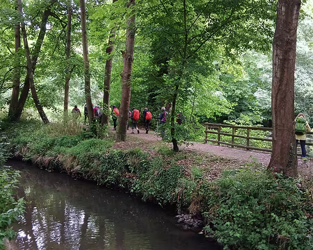 029 Le GR 11 longe la Bièvre dans le bois des Arcades (Buc)