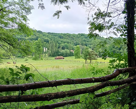 031 Vue sur les prairies du haras de Vauptain depuis le chemin de Vauptain