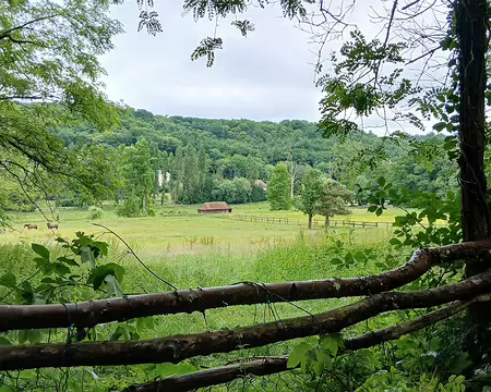 031 Vue sur les prairies du haras de Vauptain depuis le chemin de Vauptain