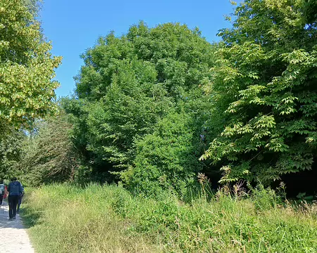 008 Le GR 11 longe la Bièvre