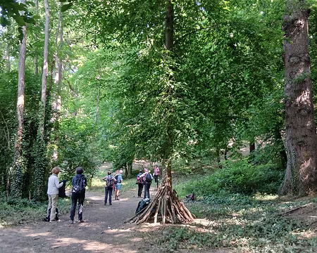 017 Arrivée dans la forêt domaniale de Verrières
