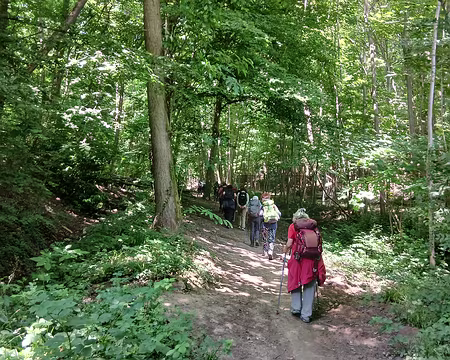 028 Montée dans le bois du Loup Pendu, à l’ouest de la forêt de Verrières