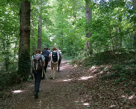 032 Le chemin de la Pierre Grillante dans le bois de Montéclin, au nord de Vauboyen