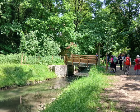 039 Passerelle sur la Bièvre