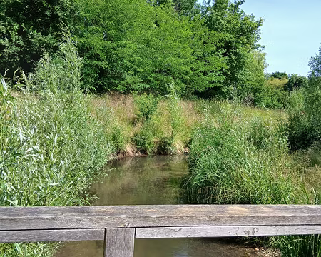 047 La Bièvre à Igny