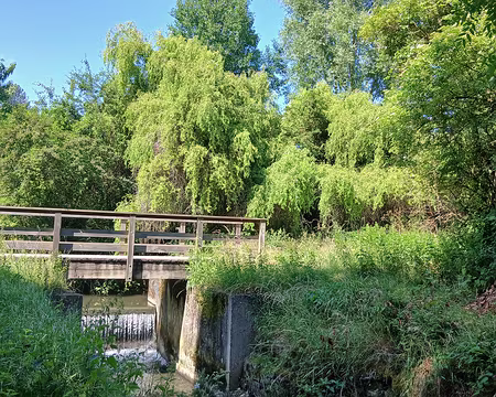 048 Le bras vif de la Bièvre à Igny