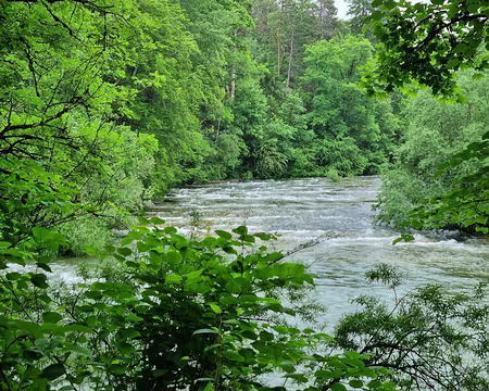 011 Boucle les bords de l'Ain à Champagnole