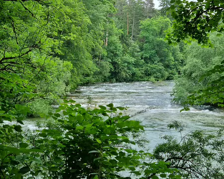011 Boucle les bords de l'Ain à Champagnole