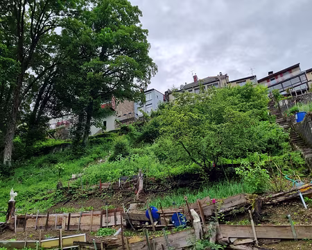 012 Jardins en terrasses