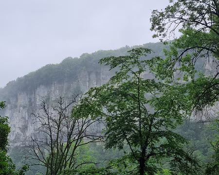 040 Falaises du cirque de Baume-les-Messieurs