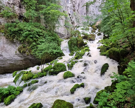 063 En remontant vers le Bief Sarrazin, source temporaire qui coule très peu. 4 km de galeries ont donc pu être explorés à ce jour