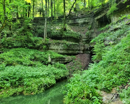 093 La source de l'Ain, située à proximité de Nozeroy, est bien dissimulée sous un couvert boisé