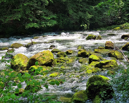 094 L'Ain peu après sa source