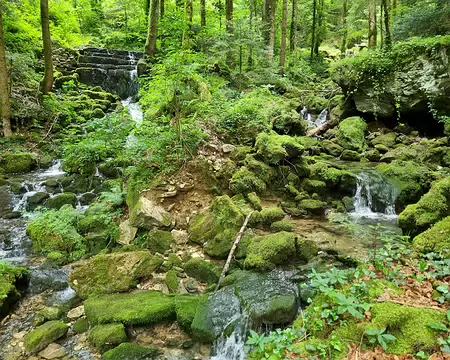 097 Source de l'Angillon, qui après 20 km est un affluent de l'Ain