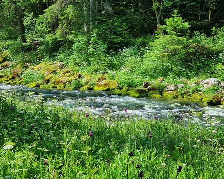 106 le Doubs a été baptisé « dubius » par Jules César, en raison de son tempérament indécis