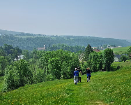 114 Retour par un bon sentier vers Foncine-le-Haut