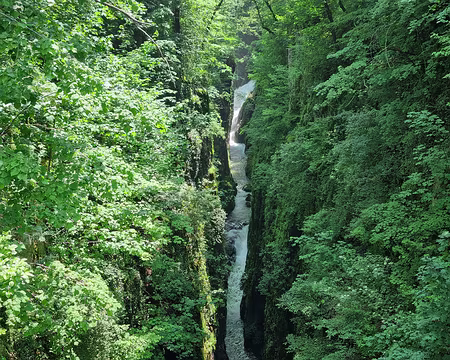 115 Les gorges de la Langouette vues depuis le pont proche du village des Planches-en-Montagne. La rivière y passe entre deux parois distantes de moins de deux...