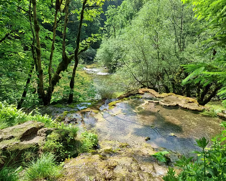 129 La croissance de cette tufière s'est arrêtée avec la déviation de la source, on dit qu'elle est inactive