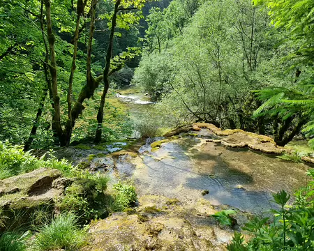 129 La croissance de cette tufière s'est arrêtée avec la déviation de la source, on dit qu'elle est inactive