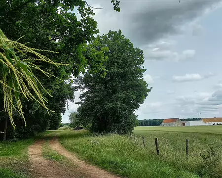 20250608_164212-01 Ferme de