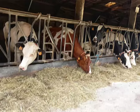 20250608_171905-01 Ferme de Coubertiin. Merci à Marina pour cette première rando dessin très réussie.