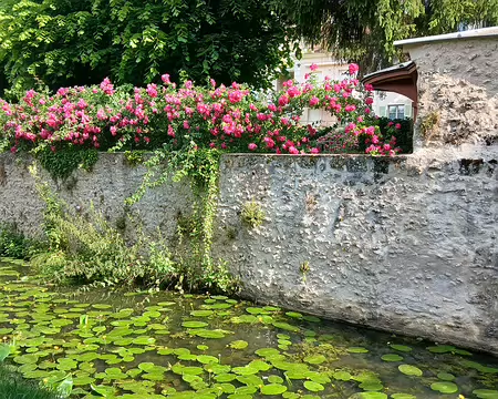 004 Le canal de l’Yvette alimentait le moulin du village de Chevreuse