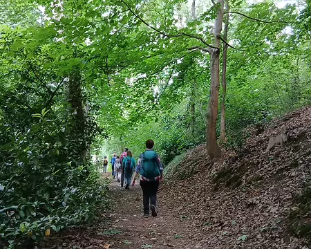 019 Descente vers Chevreuse dans le bois Saint-Martin