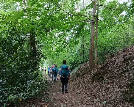 019 Descente vers Chevreuse dans le bois Saint-Martin
