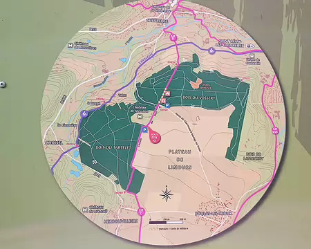 043 La forêt domaniale de Méridon