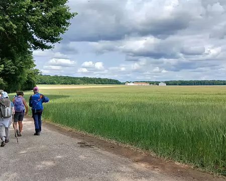 044 Grande exploitation agricole sur le plateau de Limours, au sud du bois de Vossery