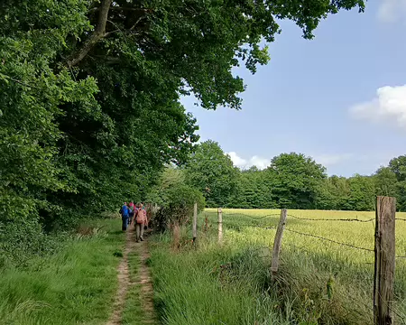 046 Chemin de lisière