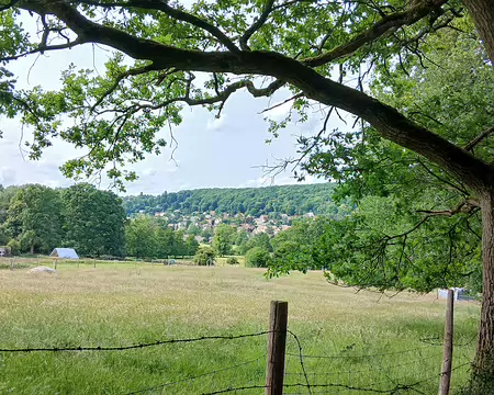 048 Vue sur le village de Chevreuse