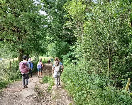 049 Descente vers la ferme de Coubertin dans la vallée de l’Yvette