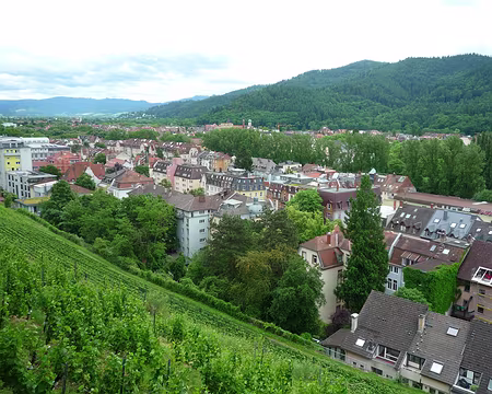 P1360122 Aperçu vers Kirchzarten et vignobles en ville.