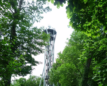 P1360128 Il n'y a plus de château sur Sclossberg mais une tour accessible aux piétons.