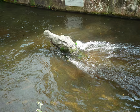 P1360147 20 ans qu'ils ont perdu la trace de leur crocodile ! Il doit être mort.