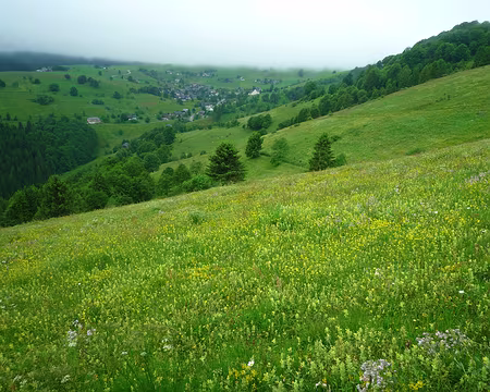 P1360151 Début de randonnée à Schauinslandbahn après avoir laissé passer une première grosse averse au bar.