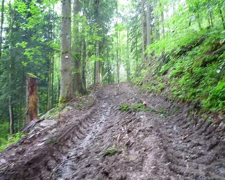 P1360153 Chemin défoncé par les engins et sous la pluie, on s'enfonce dans la boue, une horreur !