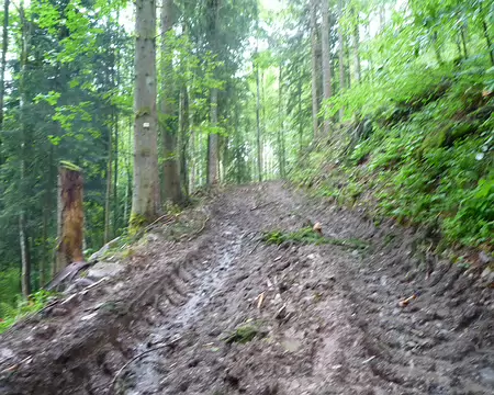 P1360153 Chemin défoncé par les engins et sous la pluie, on s'enfonce dans la boue, une horreur !
