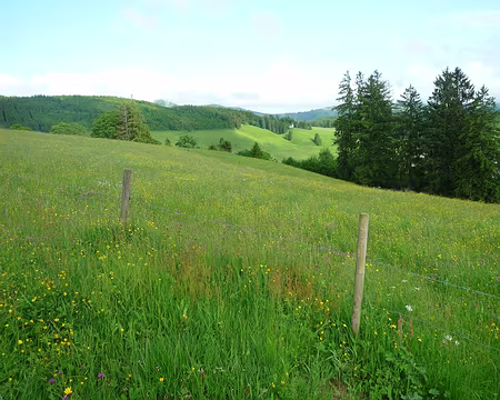 P1360155 Sur un plateau très nordique à 1150 m