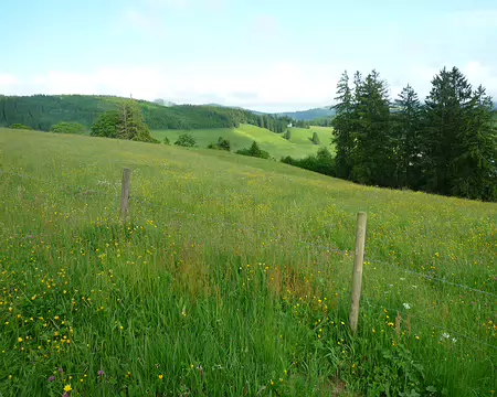 P1360155 Sur un plateau très nordique à 1150 m