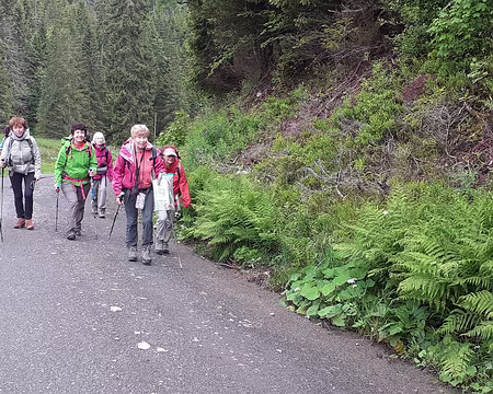 P1360164a Un groupe bien décidé (photo MCF)