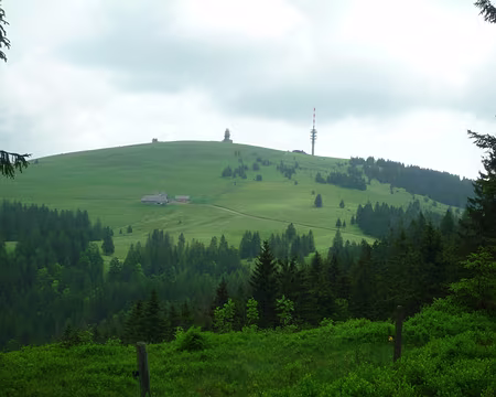 P1360165 Dimanche, direction le sommet du Feldberg