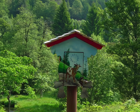 P1360170 Il y eut un coucou.